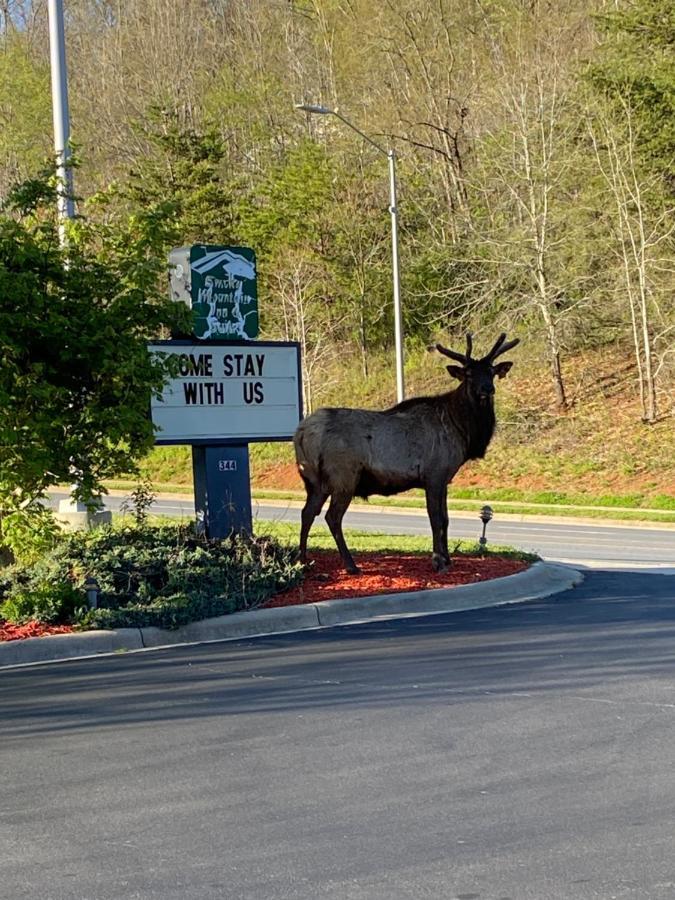 Smoky Mountain Inn & Suites Cherokee Exterior photo